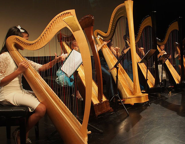 theharpacademy-index-introduction